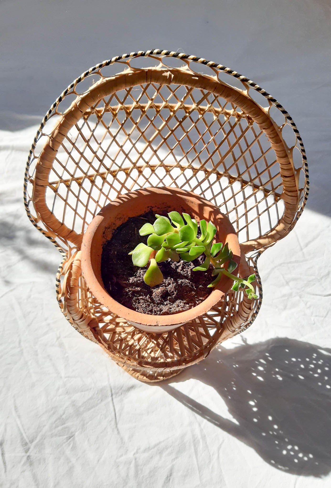 Tiny rotan chair