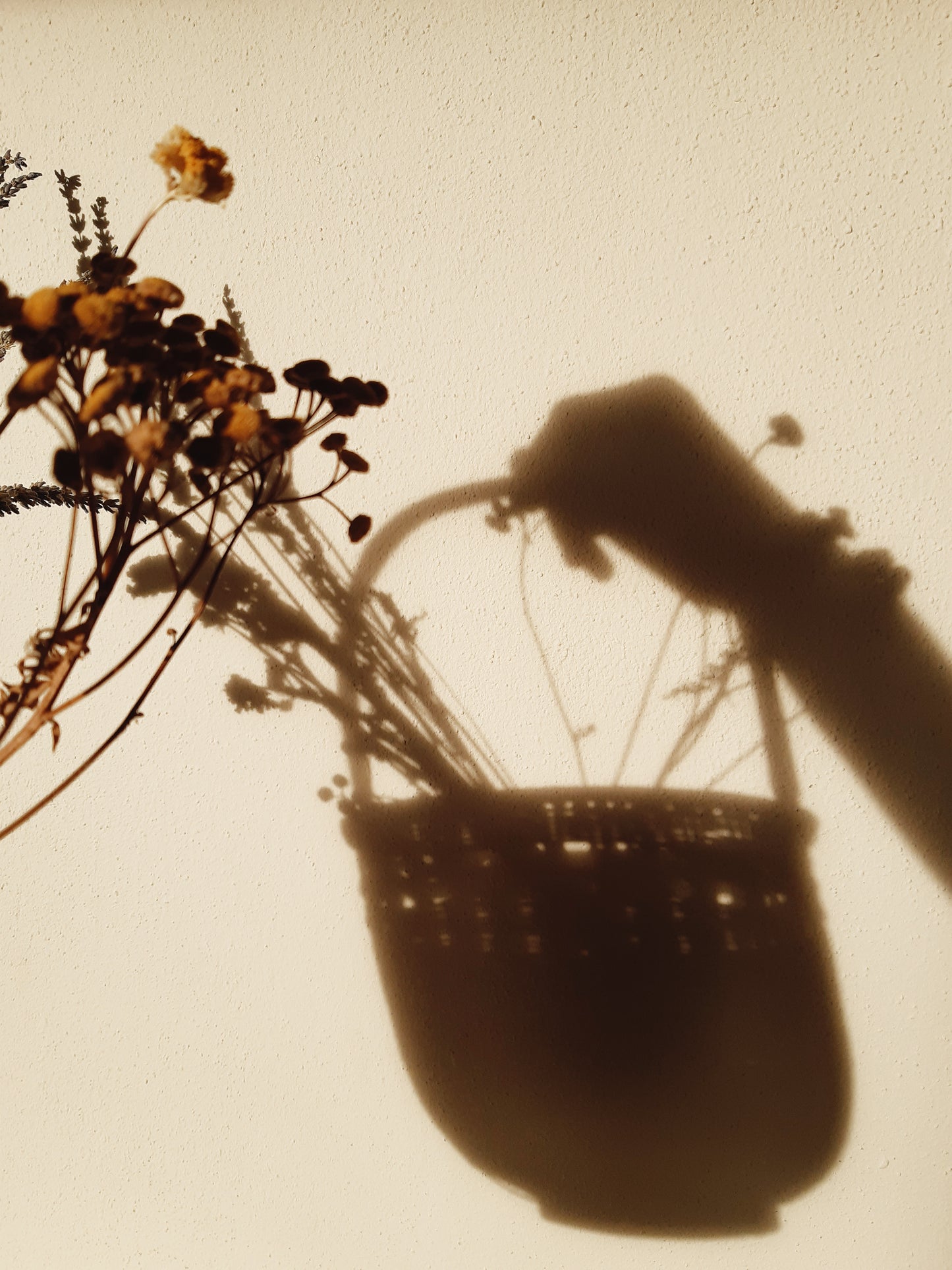 NEW IN! Wicker basket