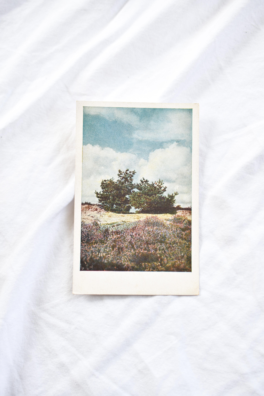 Vintage postcard