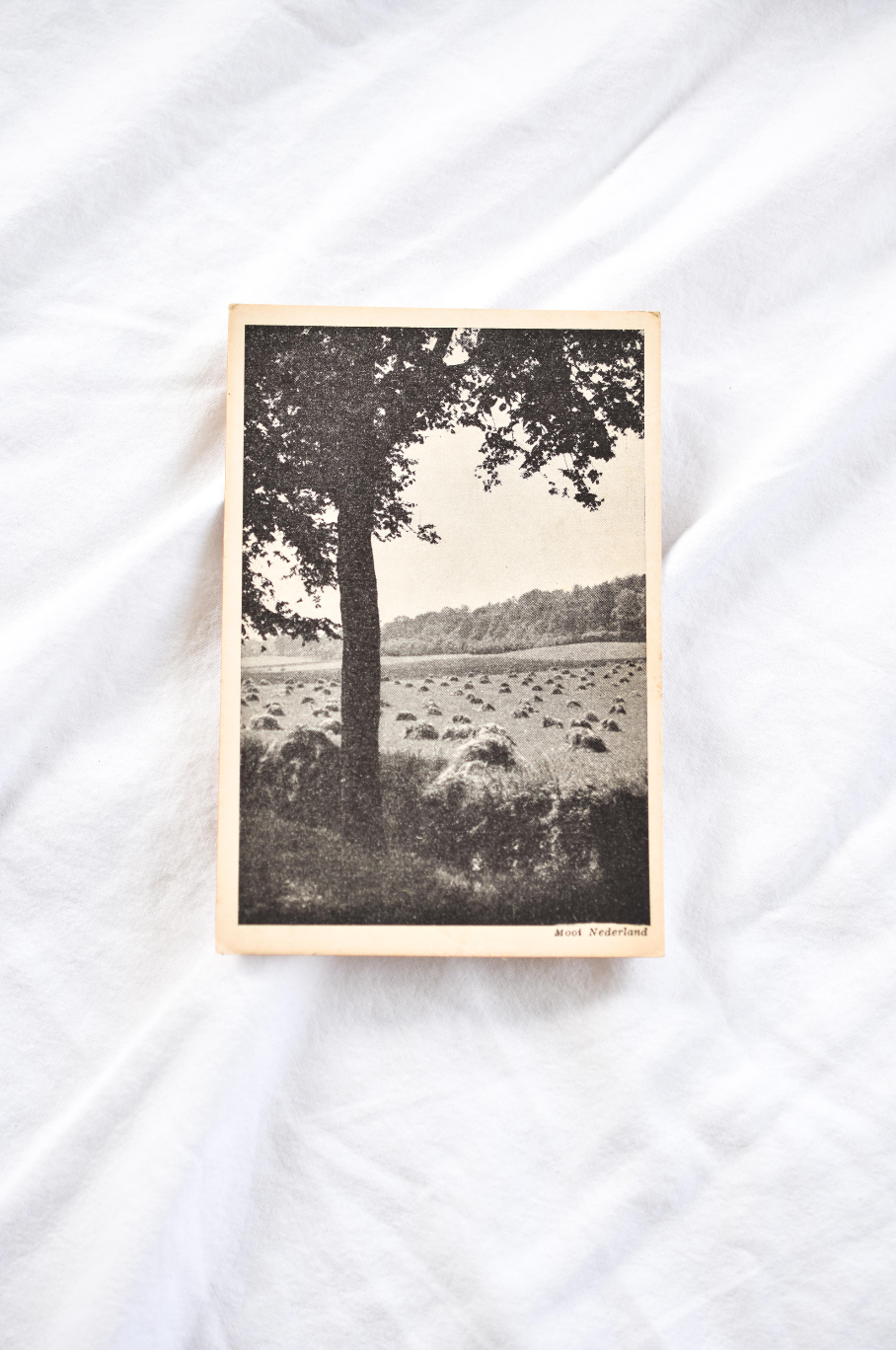 Vintage postcard