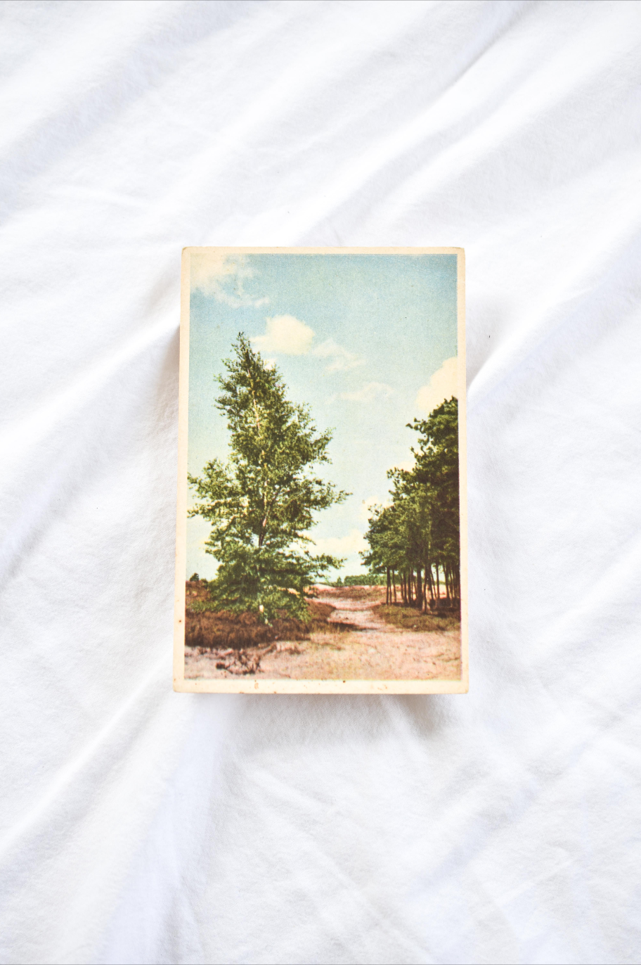 Vintage postcard
